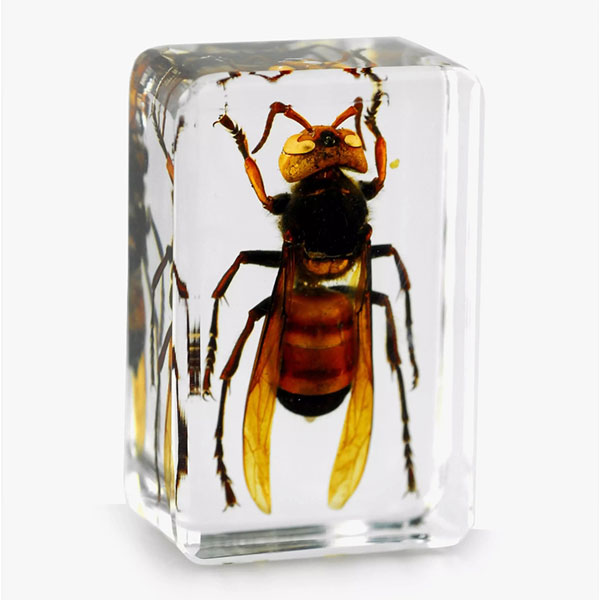 水晶膠和UV膠的區別：選對材料，才能做出理想效果